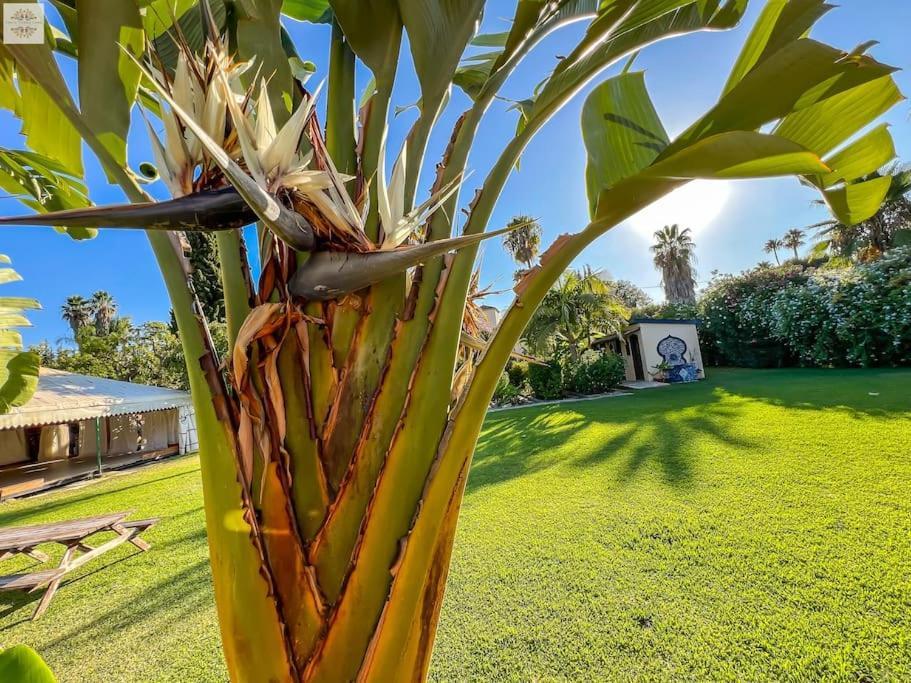 Finca Tierra Sana Estepona Extérieur photo